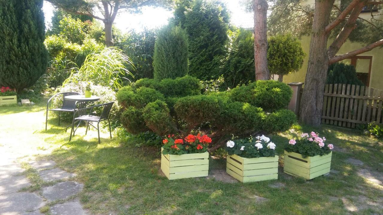Cichy Zakatek Apartment Sianozety Luaran gambar